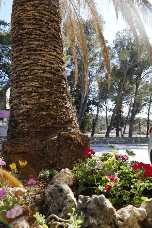 Ferienwohnung Frapedo Sport Makarska Exterior foto